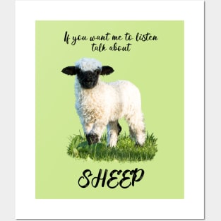 Talk About Sheep, Valais Blacknose Lamb Posters and Art